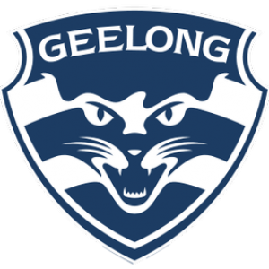 Geelong_Cats_logo - Direct Recruitment Geelong